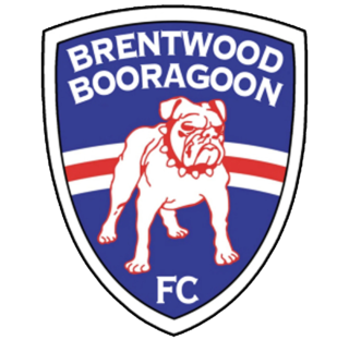 https://brentwoodbooragoonfc.com/wp-content/uploads/2024/10/logo-seniors-320x312.png